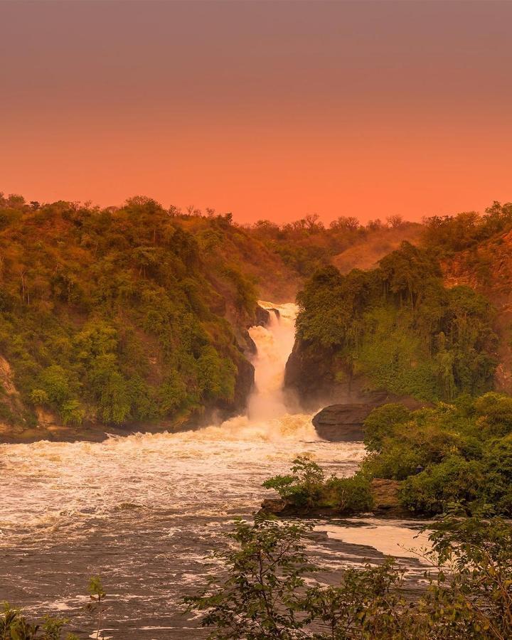 Tilenga Safari Lodge Arua Exteriör bild